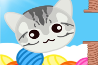 JumpyCat img