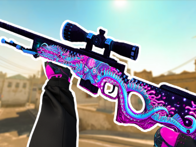 KS 2 Snipers background